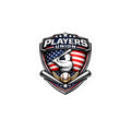 Players Union USA Baseball Logo Sticker | American Flag Shield